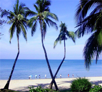 海南大溪地住宅小区